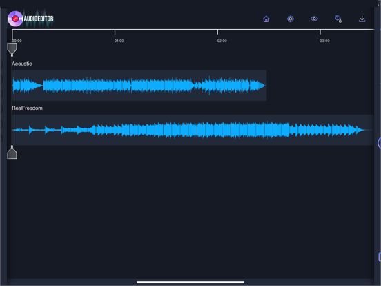 Screenshot #5 pour Audio Editor'