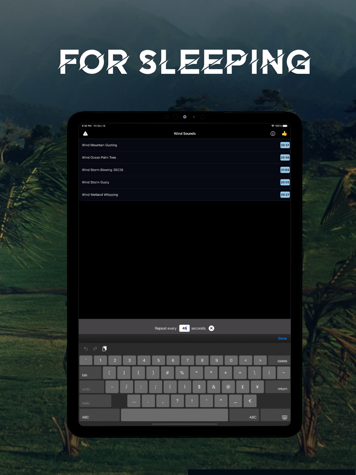Wind Calming Night Sounds