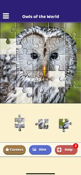 Game screenshot Owls of the World Puzzle hack