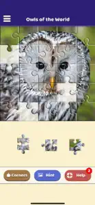 Owls of the World Puzzle screenshot #3 for iPhone