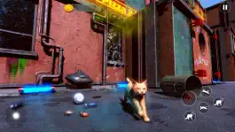 Game screenshot Hunting Cat Simulator mod apk