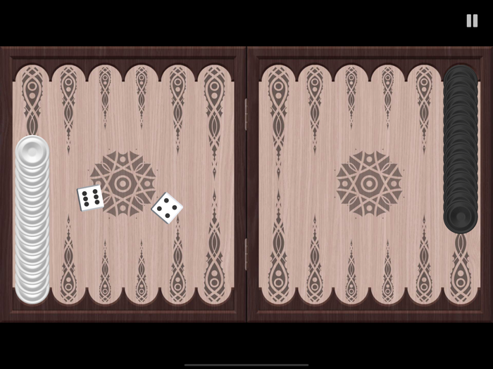 Crazy Backgammon