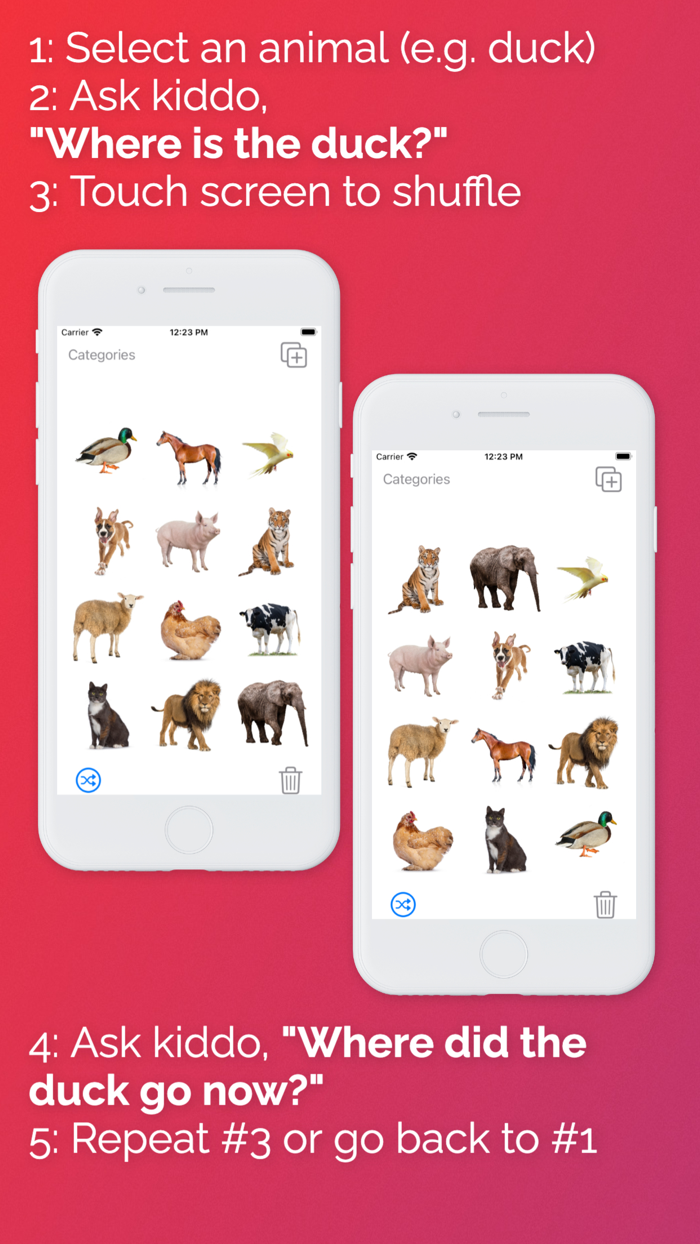 REX Receptive Expressive ID