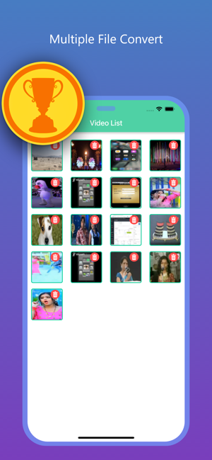‎Flash Video Converter Pro Screenshot