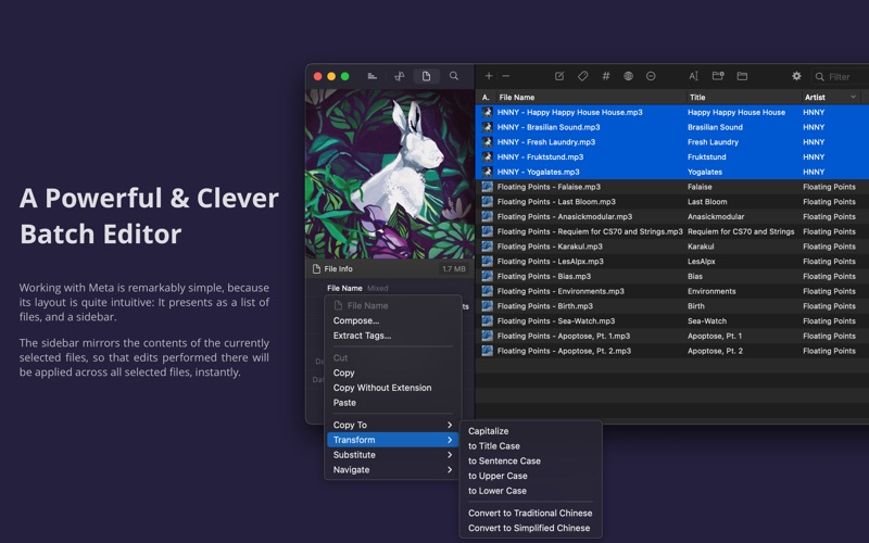 Meta — Music Tag Editor Screenshot