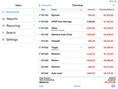 Accounts 3 Checkbook iPad image 2