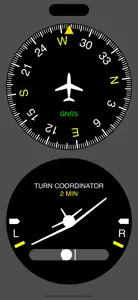 Flight Display screenshot #6 for iPhone