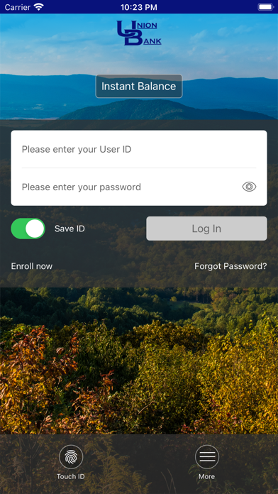 Union Bank, Inc WV Screenshot