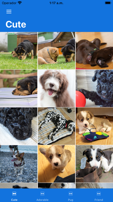 Dog Pictures Screenshot