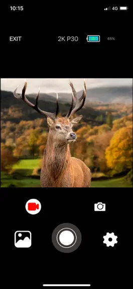 Game screenshot WILDLIFE CAM apk