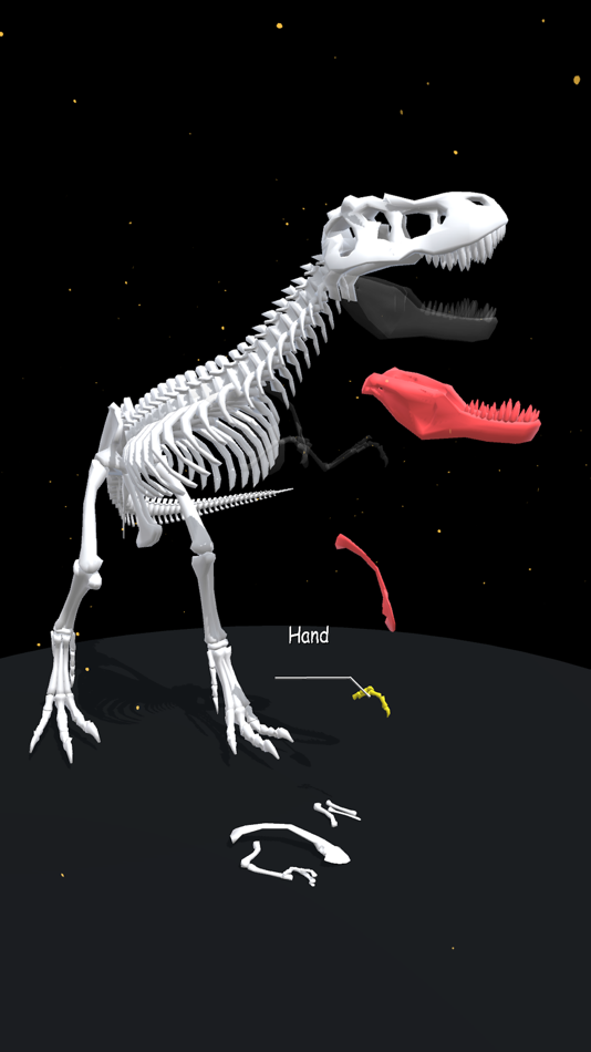 #4. Assemble Skeleton (iOS) 由: Artur Zhyvkovych