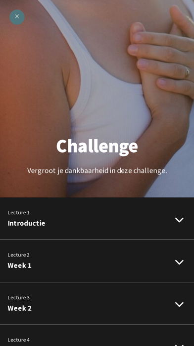 Holiskin Screenshot