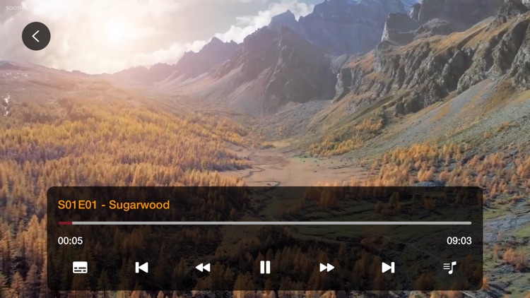 PLAYER IPTV screenshot-5