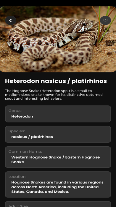 Herpfiles Screenshot
