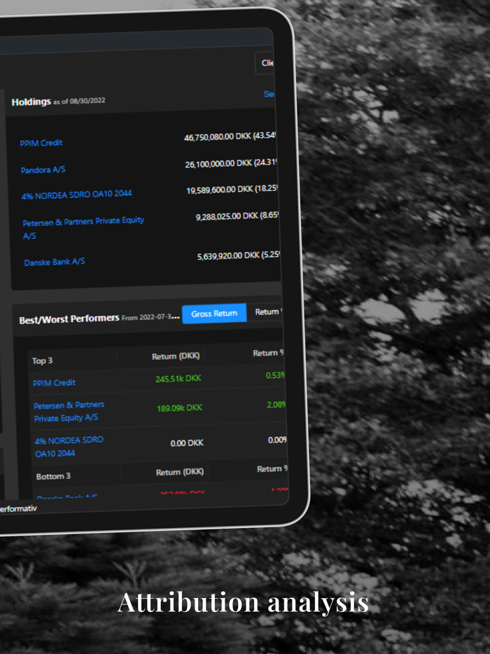 Petersen and Partners IM