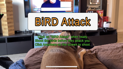 BiRD Attack Screenshot