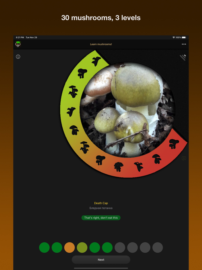 Learn Forest Mushrooms