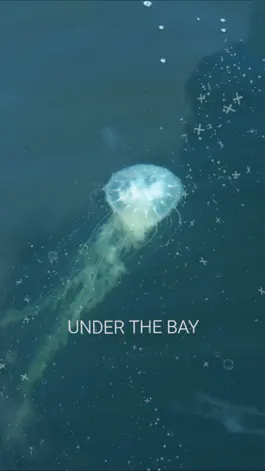 Game screenshot Under the Bay mod apk
