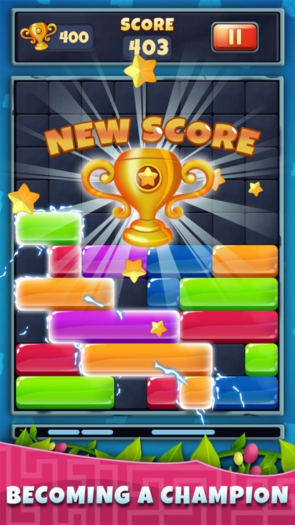 Block Slide Puzzle: Jewel Game screenshot-3