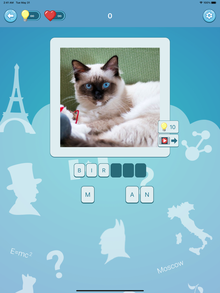 Quiz guess all cute cat breeds