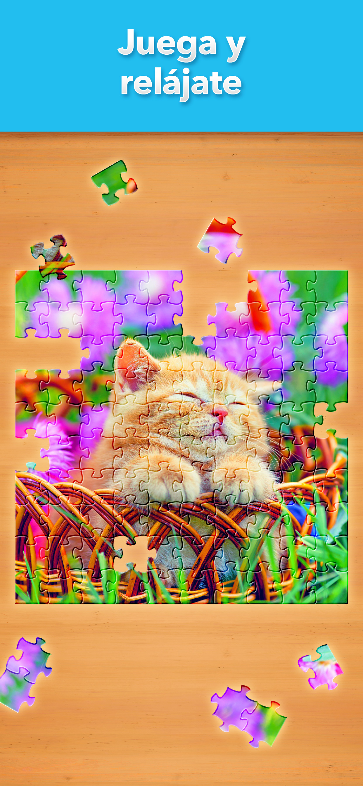 Jigsaw Puzzle Pro