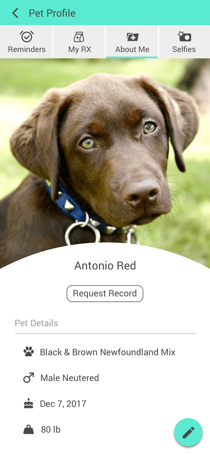 Just 4 Pets Wellness Center