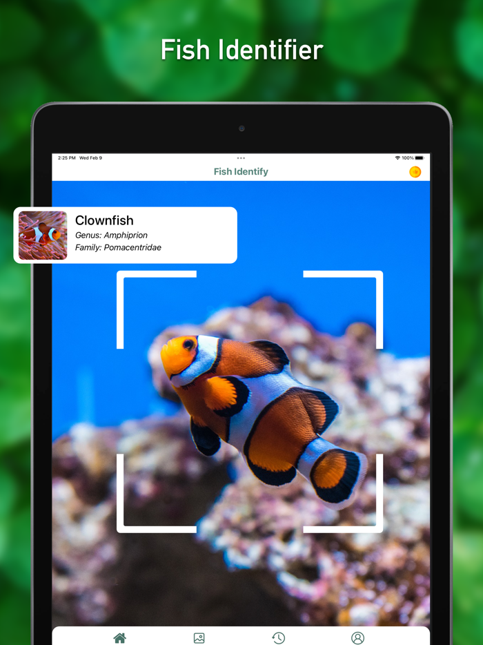 Fish Identifier ID Fish Verify