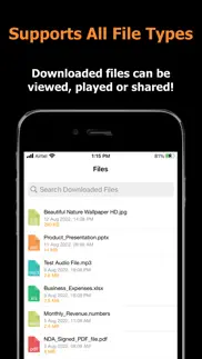 blaze : browser & file manager iphone screenshot 3