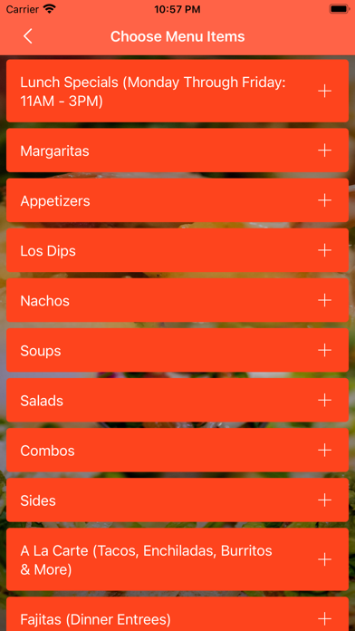 La Fiesta Albany Screenshot