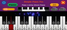 Game screenshot Simple Piano Pro hack