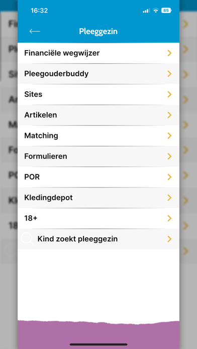 Jeugdhulp Friesland Pleegzorg Screenshot