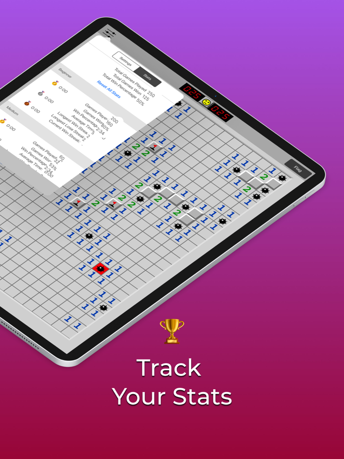 Minesweeper Puzzle Bomb