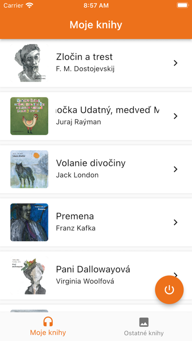 Knihy Audio Screenshot