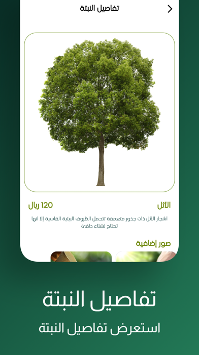 غرسة Screenshot