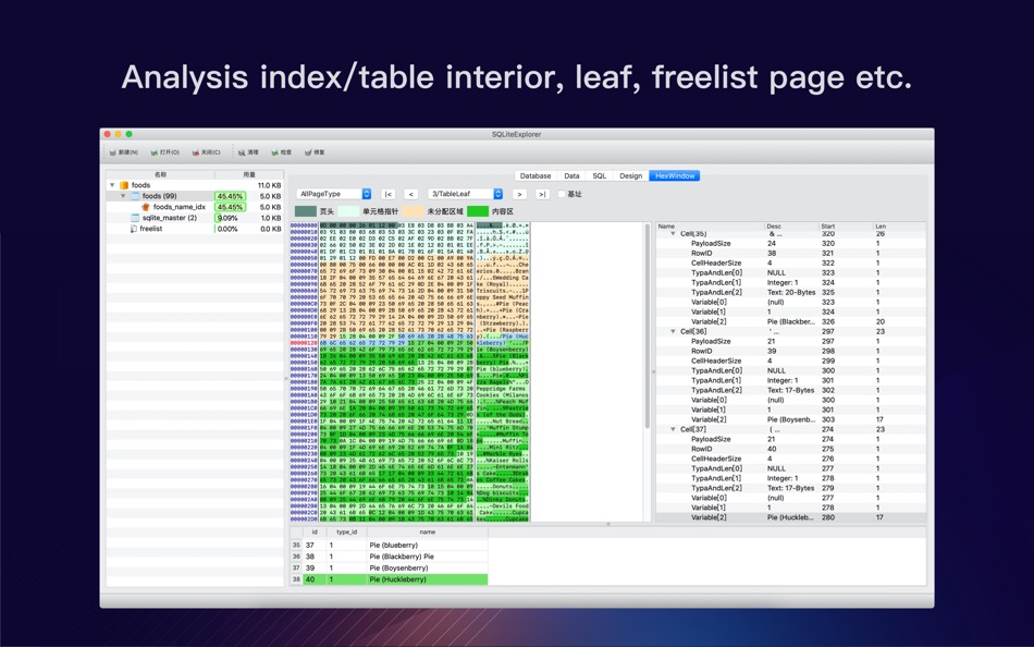 #5. SQLiteExplorer (macOS) By: 春浩 王