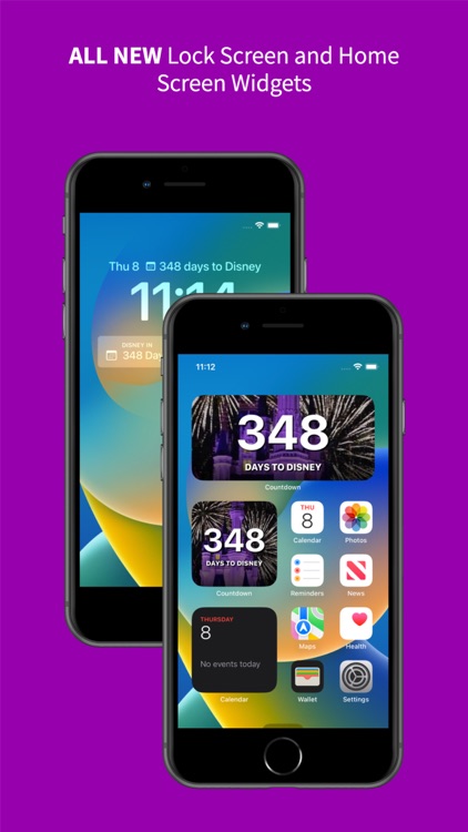 Countdown for Disney World