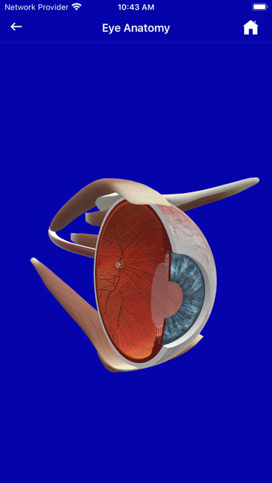 Eye Handbook Screenshot