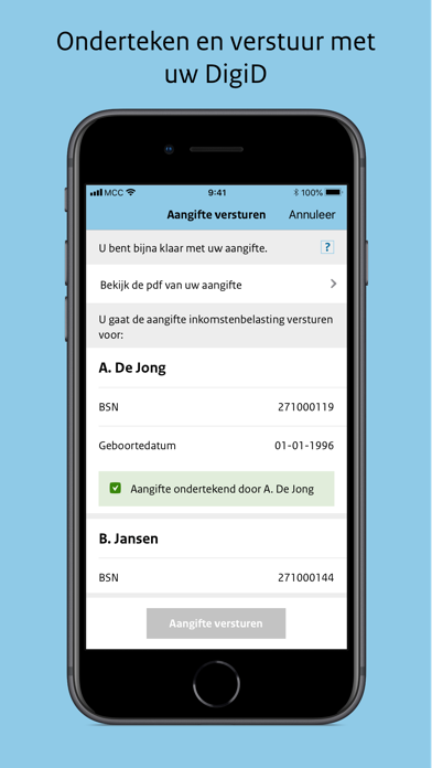 Aangifte Inkomstenbelasting Screenshot