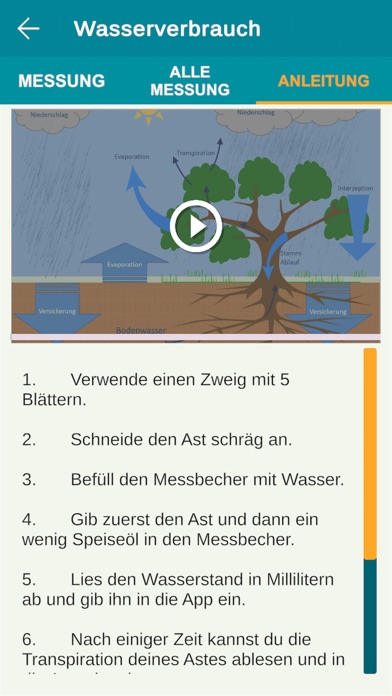 PlanBirke+C Screenshot