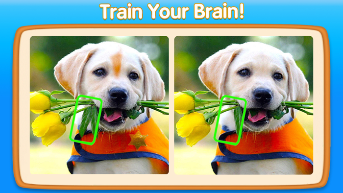 Can You Spot It — Find Game