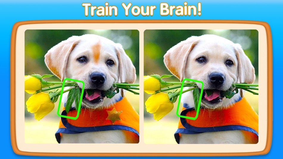 #3. Can You Spot It-5 Differences (iOS) 由: Brightika, Inc.