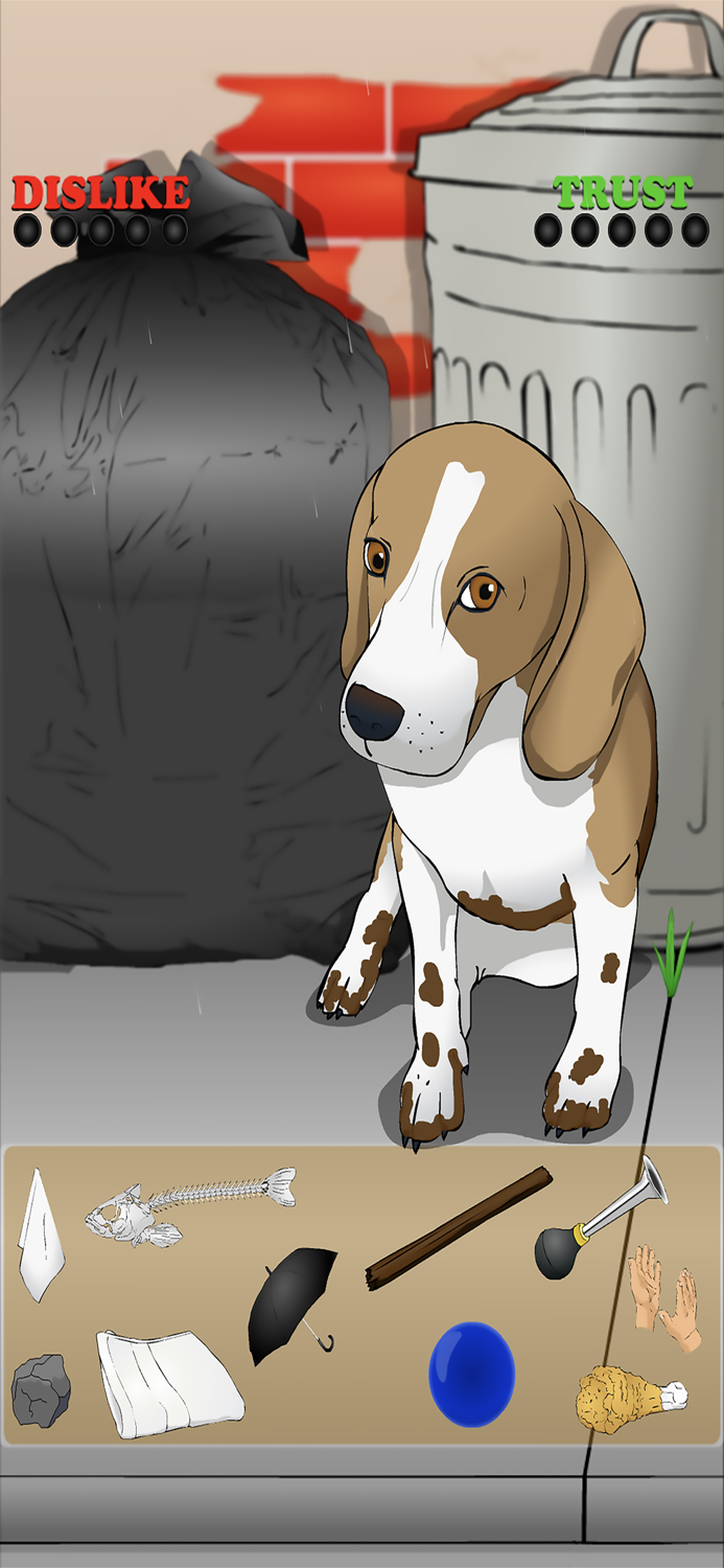 Poor Little Dog Yorkie