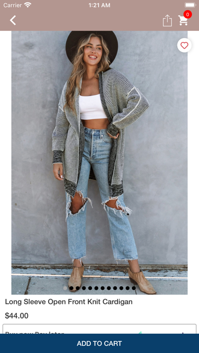 Southern Western Boutique Screenshot