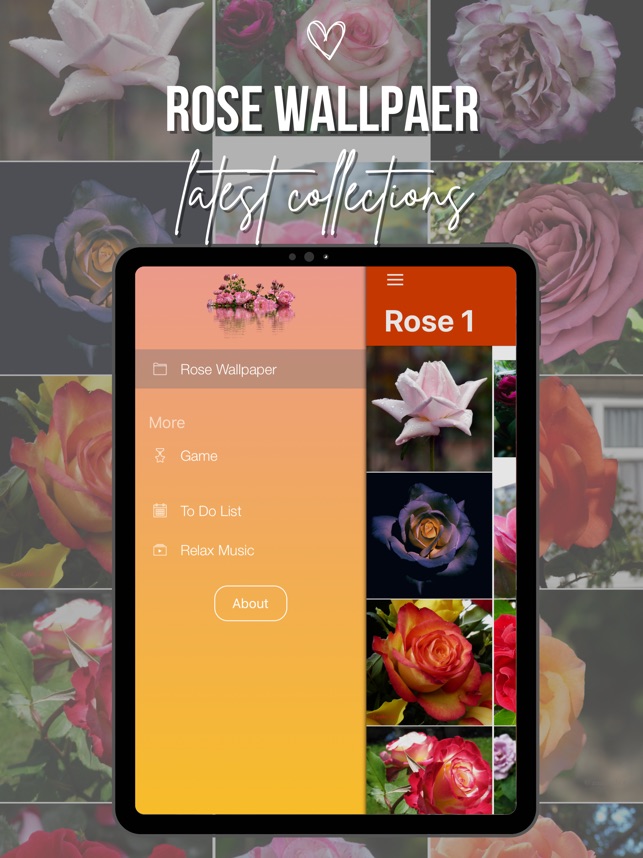 Download Rose Wallpaper App Free on PC Emulator  LDPlayer