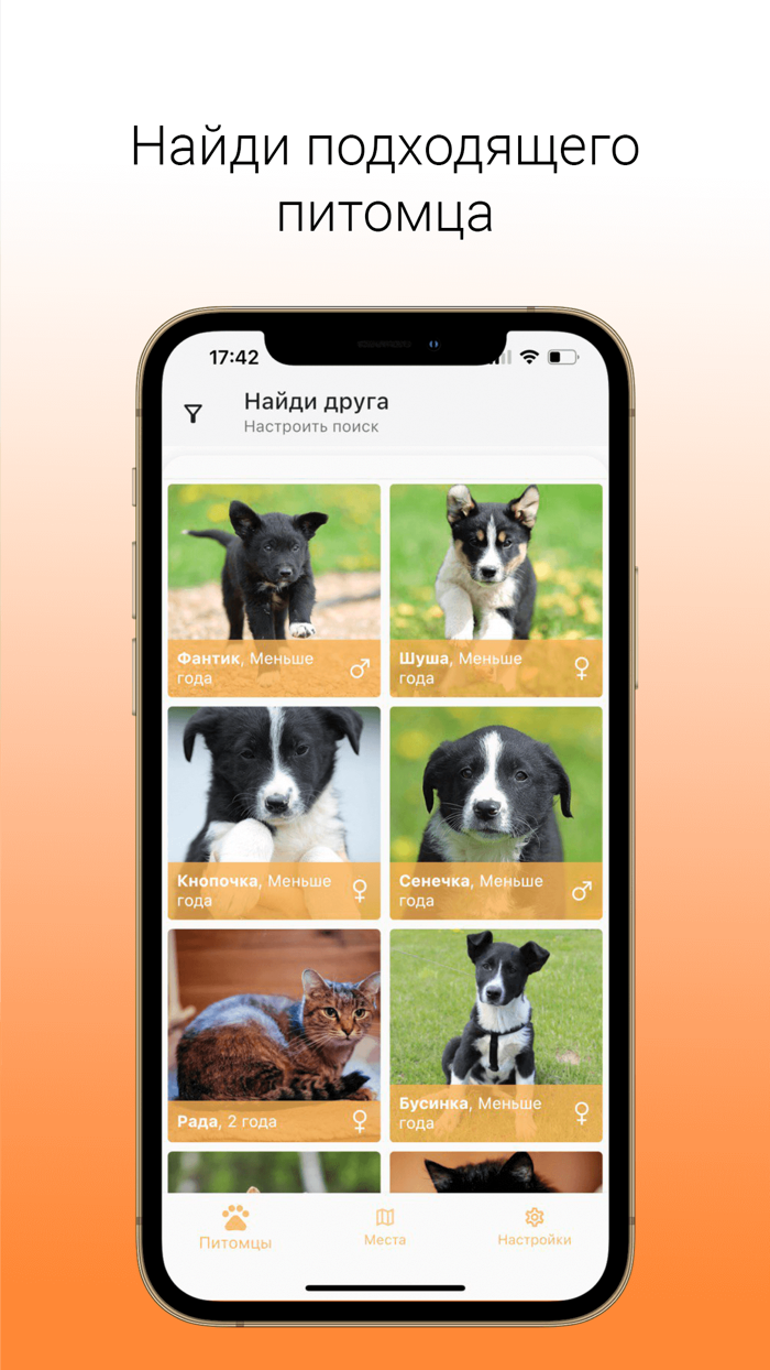 Goodog взять питомца из приюта