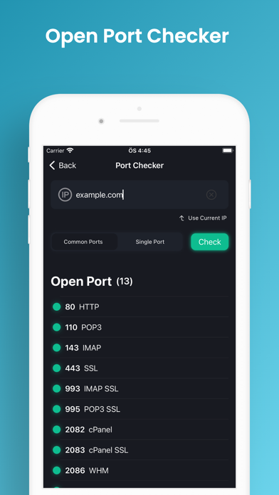 Network Analyzer & Scanner Screenshot