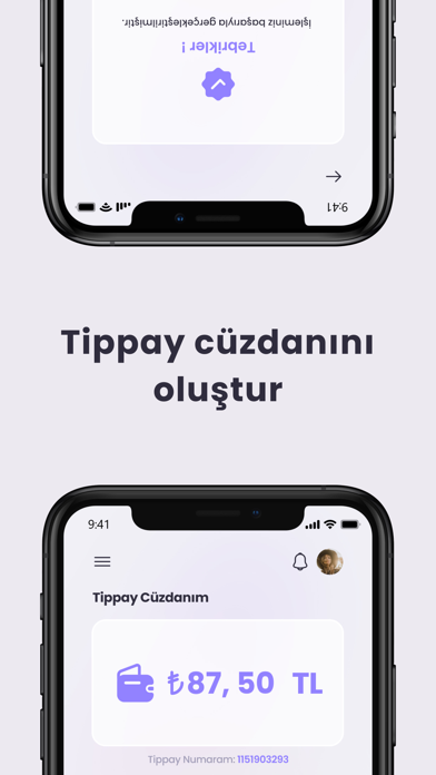 Tippay Screenshot