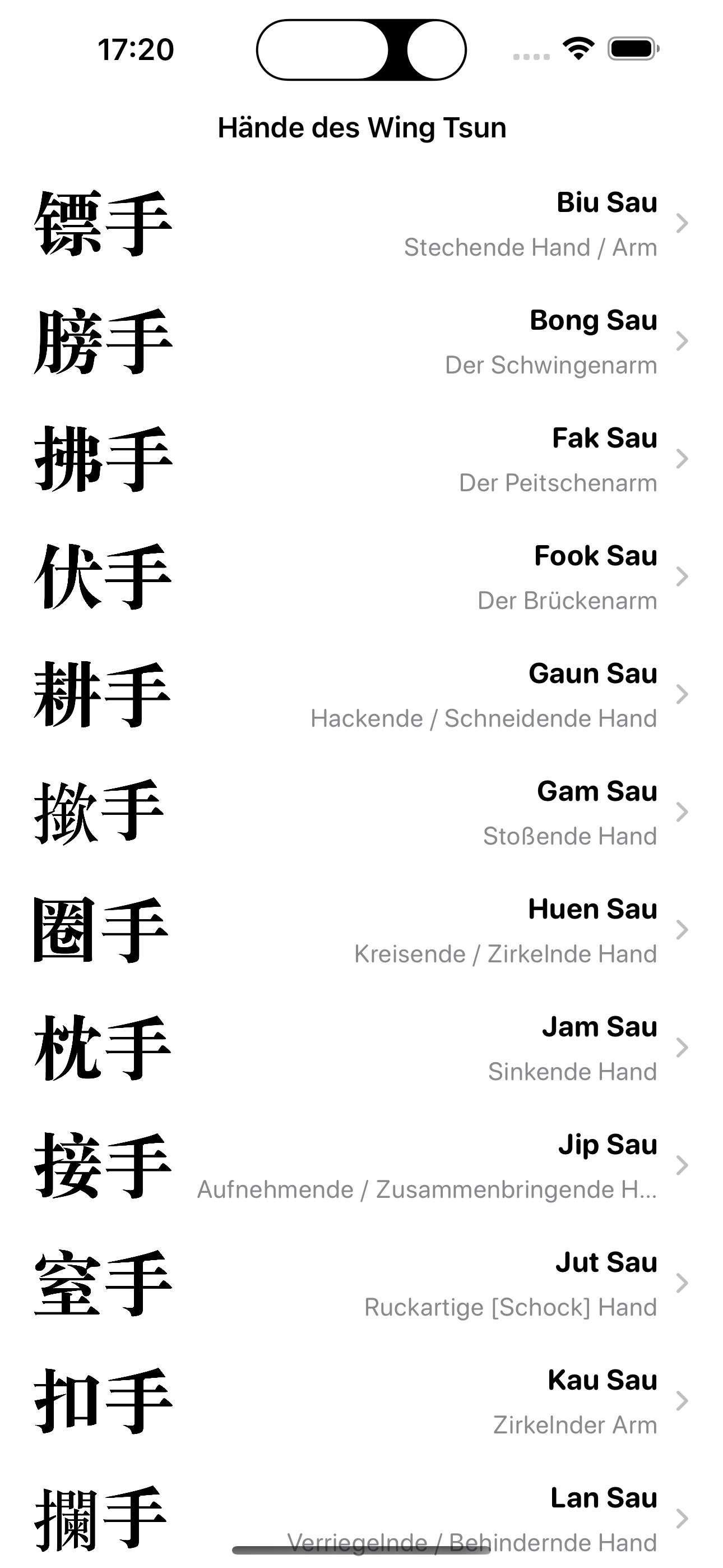 Hände des Wing Tsun