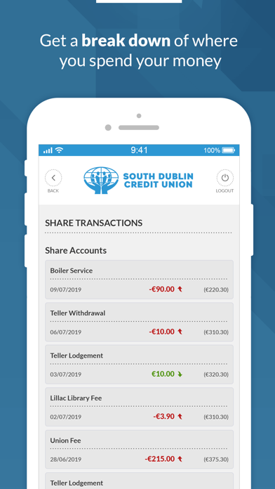 South Dublin Credit Union Screenshot