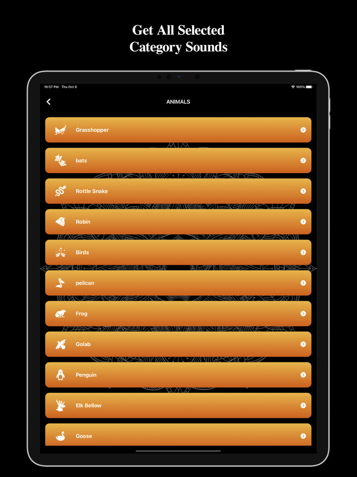 Relax Sounds and Meditation